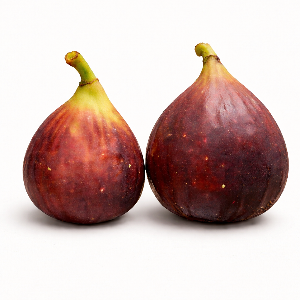 Feigenbaum - PX - Rubina