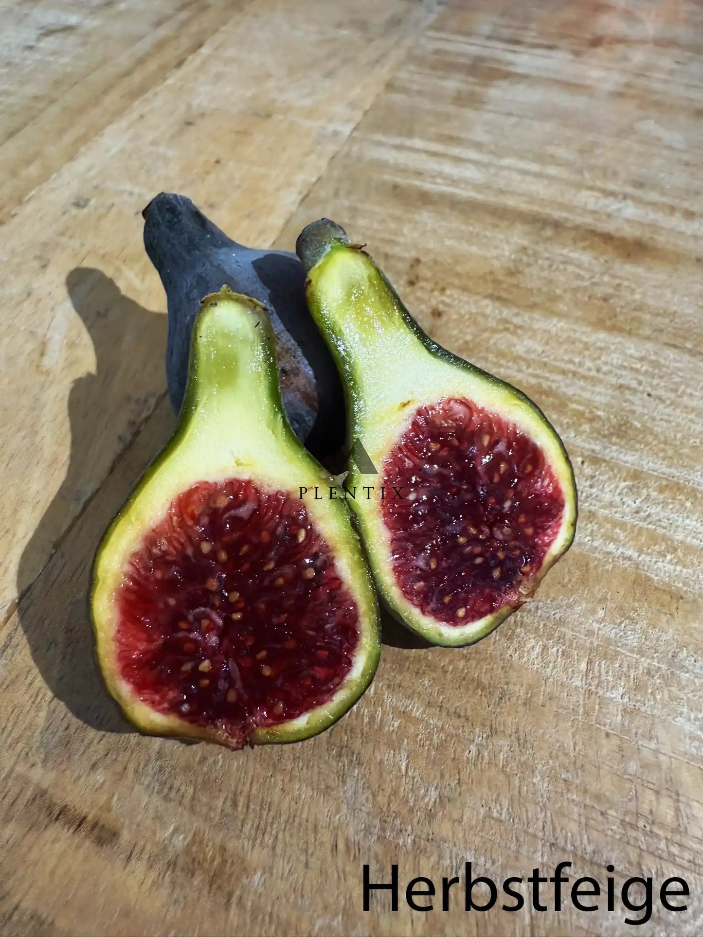 Feigenbaum - Col de dame Roja