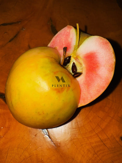 Apfelbaum - Pink Pearl