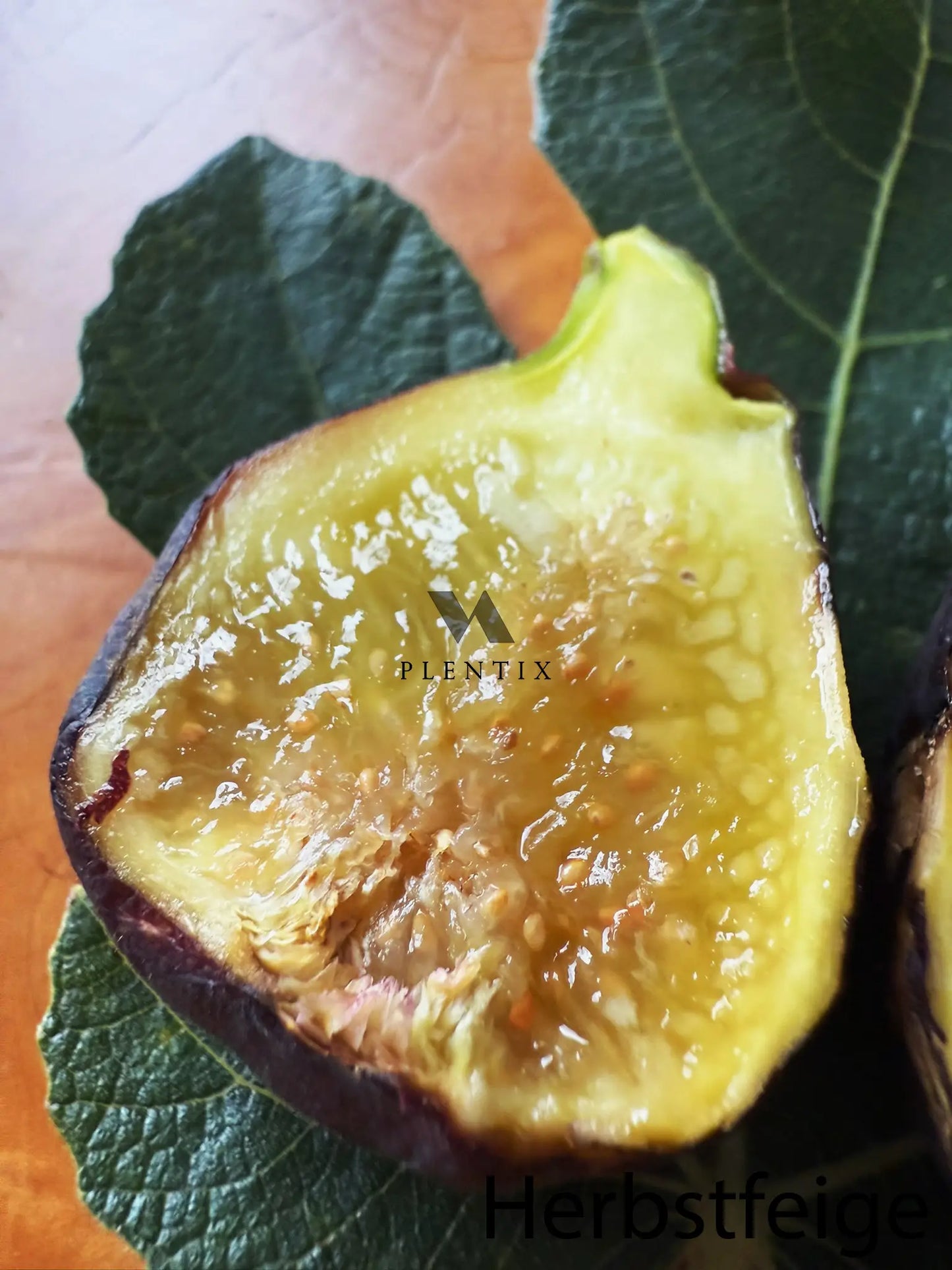 Feigenbaum - PX - Miel du Ciel