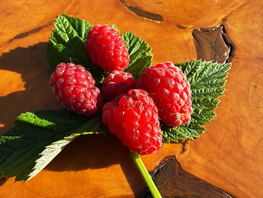 Sommerhimbeere - Tulameen