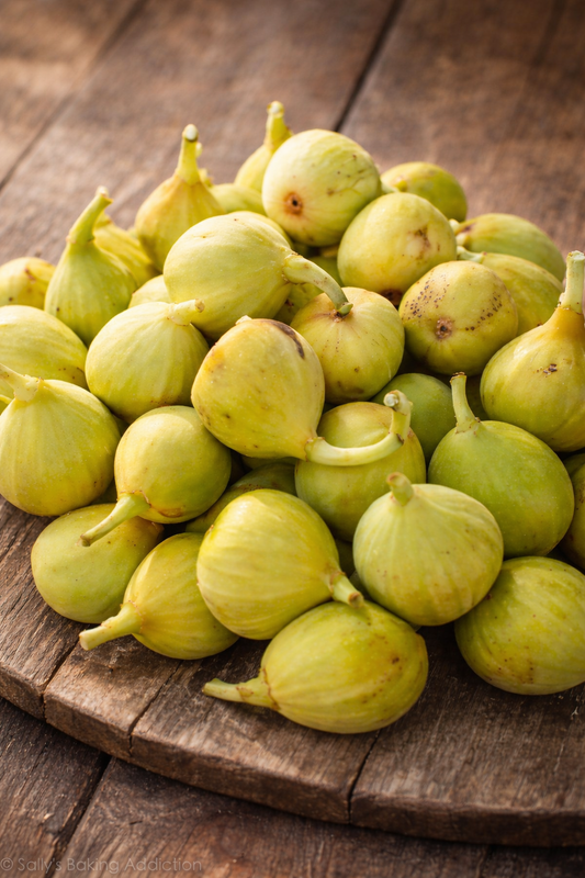 Feigenbaum - PX - Solambra